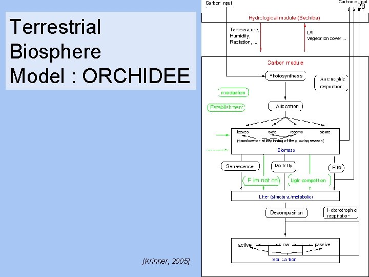 28 Terrestrial Biosphere Model : ORCHIDEE [Krinner, 2005] 