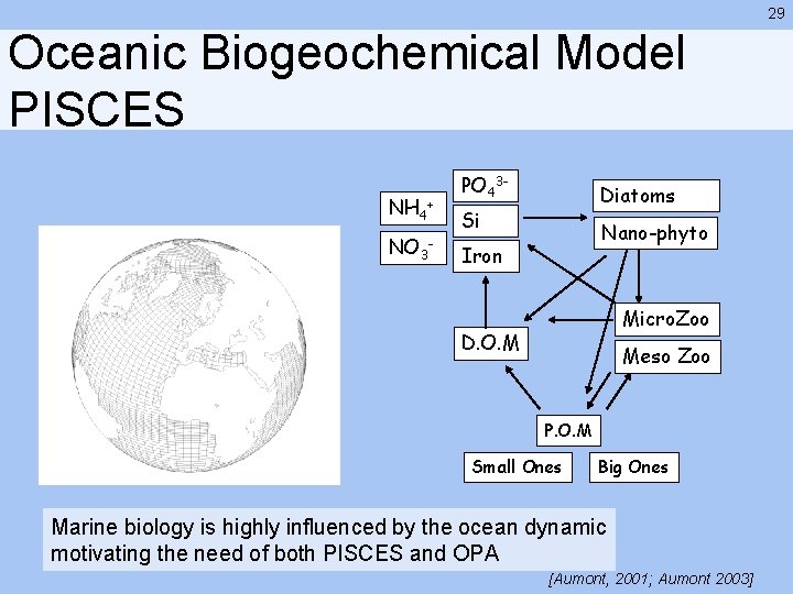 29 Oceanic Biogeochemical Model PISCES NH 4+ NO 3 - PO 43 - Diatoms