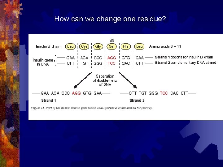 How can we change one residue? 