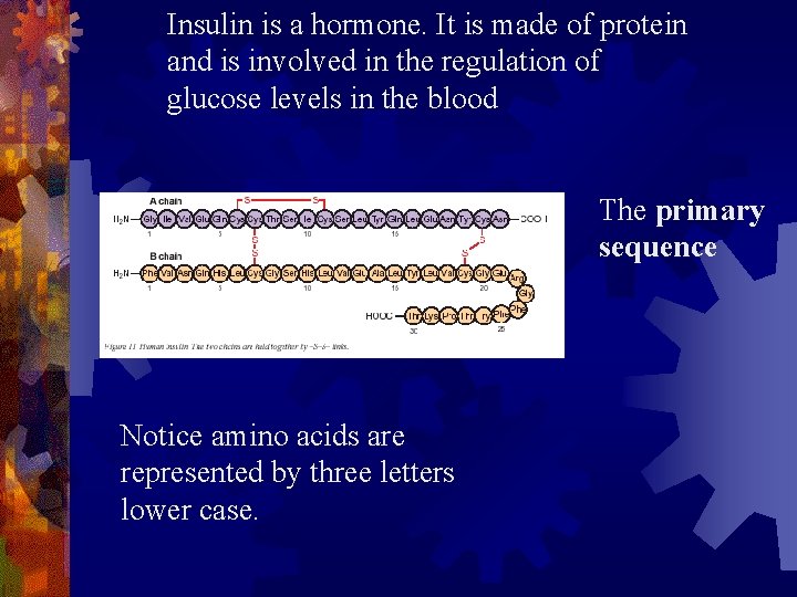 Insulin is a hormone. It is made of protein and is involved in the