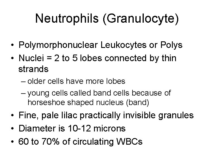 Neutrophils (Granulocyte) • Polymorphonuclear Leukocytes or Polys • Nuclei = 2 to 5 lobes