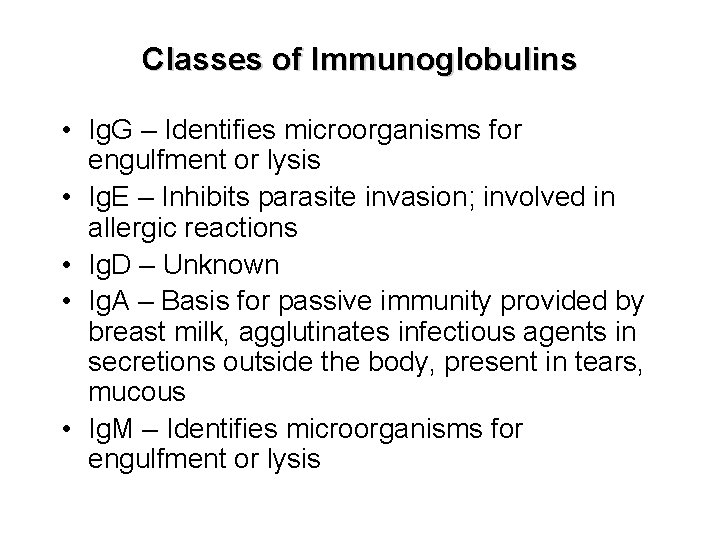 Classes of Immunoglobulins • Ig. G – Identifies microorganisms for engulfment or lysis •