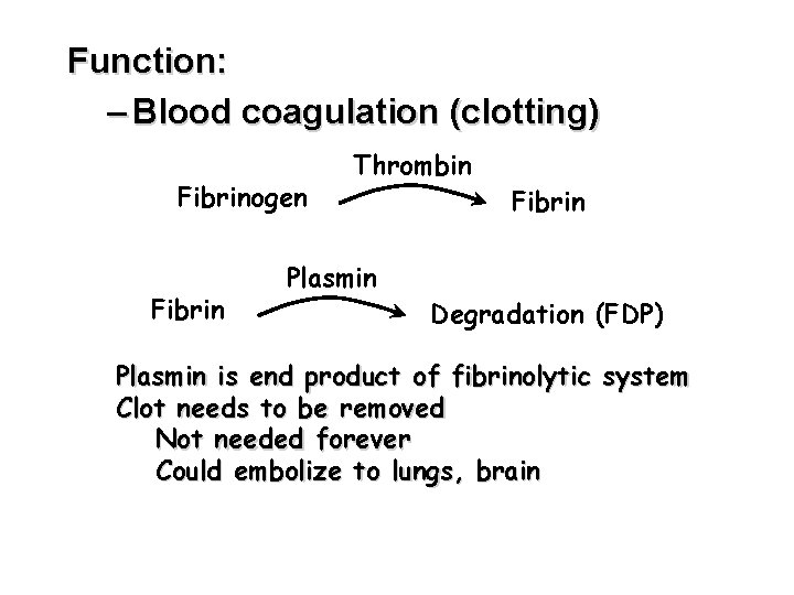 Function: – Blood coagulation (clotting) Fibrinogen Fibrin Thrombin Plasmin Fibrin Degradation (FDP) Plasmin is