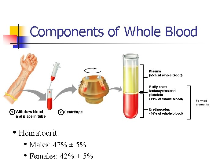 Components of Whole Blood Plasma (55% of whole blood) Buffy coat: leukocyctes and platelets