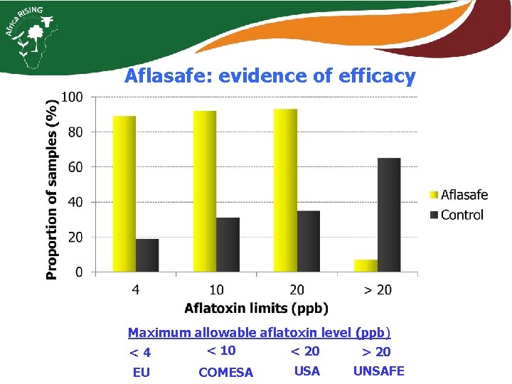 Aflasafe: evidence of efficacy Maximum allowable aflatoxin level (ppb) < 10 < 20 >