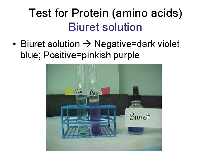Test for Protein (amino acids) Biuret solution • Biuret solution Negative=dark violet blue; Positive=pinkish