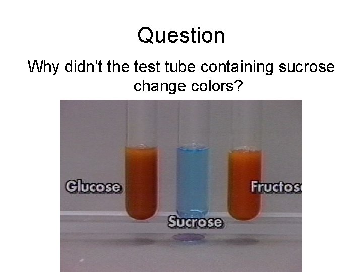 Question Why didn’t the test tube containing sucrose change colors? 