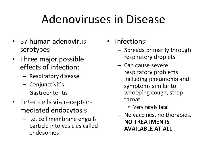 Adenoviruses in Disease • 57 human adenovirus serotypes • Three major possible effects of