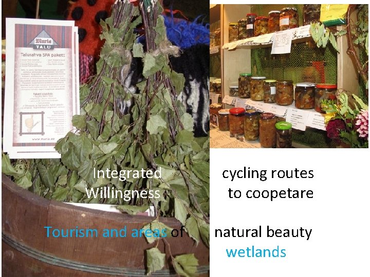 d wetlands Integrated cycling routes Willingness to coopetare Tourism and areas of natural beauty