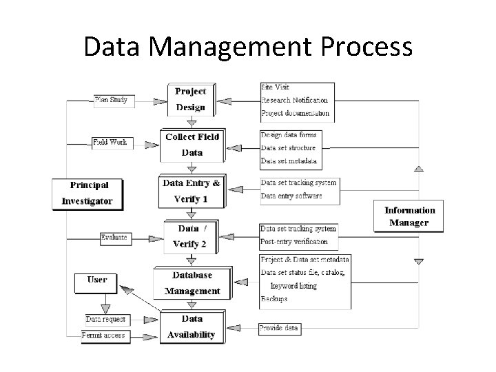 Data Management Process 