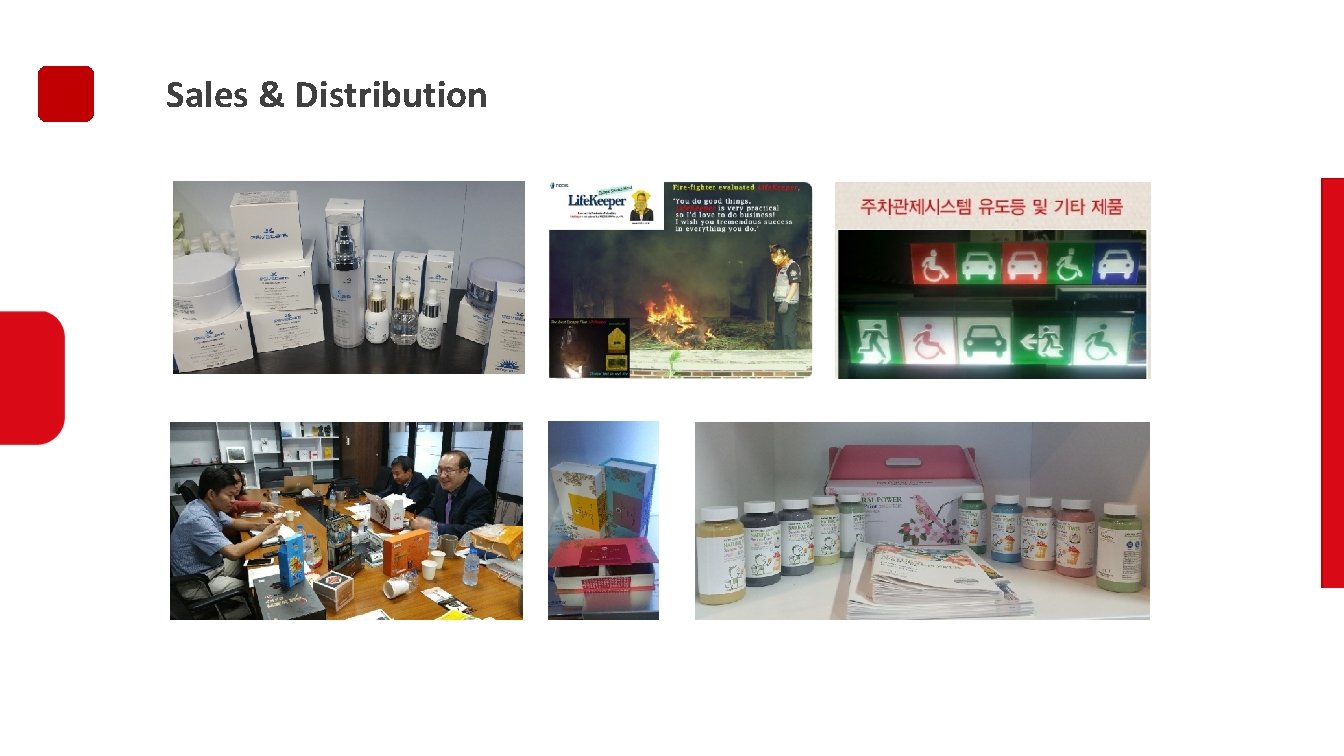 Sales & Distribution 