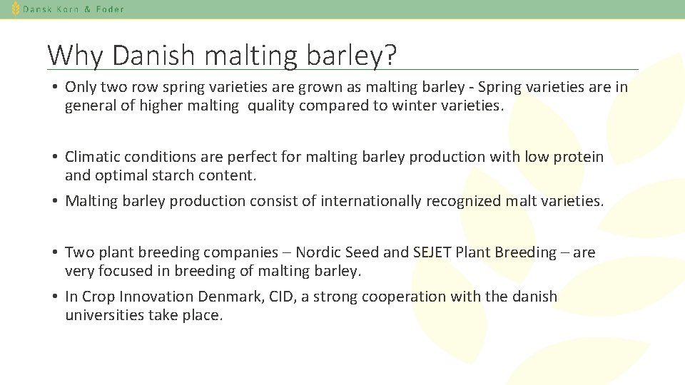 Why Danish malting barley? • Only two row spring varieties are grown as malting