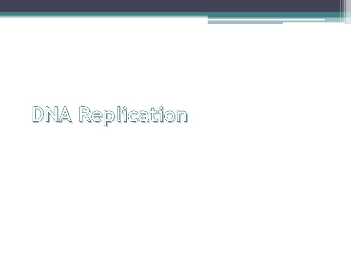 DNA Replication 