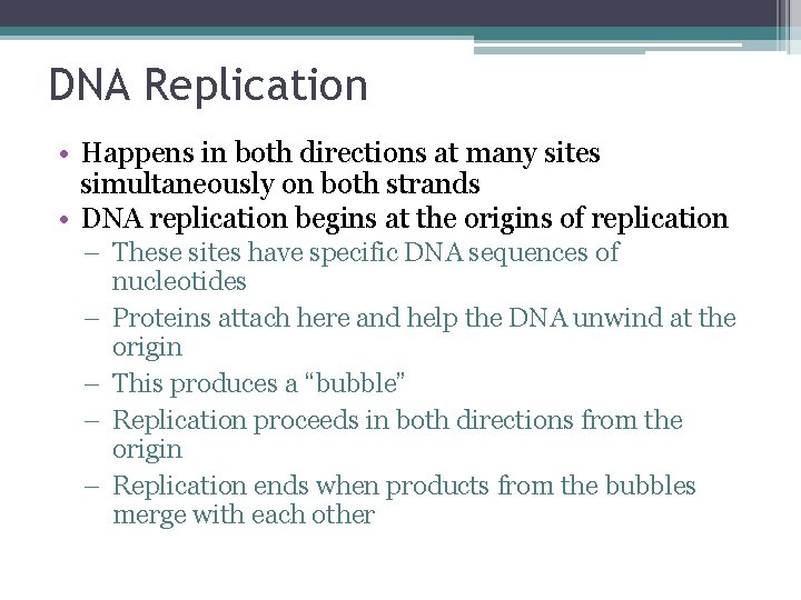 DNA Replication • Happens in both directions at many sites simultaneously on both strands