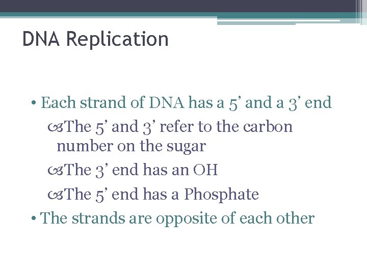 DNA Replication • Each strand of DNA has a 5’ and a 3’ end