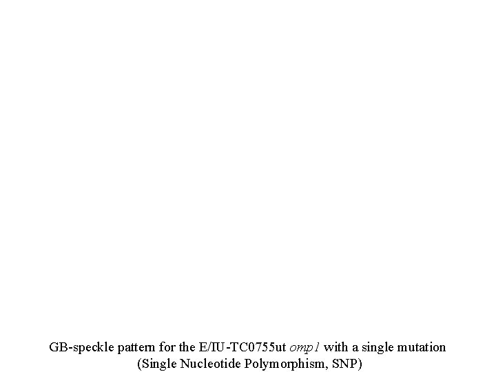 GB-speckle pattern for the E/IU-TC 0755 ut omp 1 with a single mutation (Single