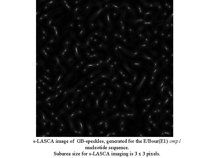 s-LASCA image of GB-speckles, generated for the E/Bour(E 1) omp 1 nucleotide sequence. Subarea