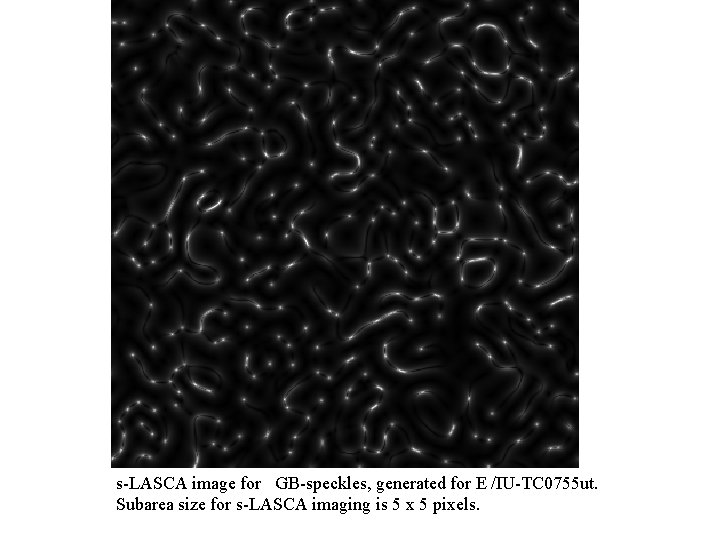 s-LASCA image for GB-speckles, generated for E /IU-TC 0755 ut. Subarea size for s-LASCA