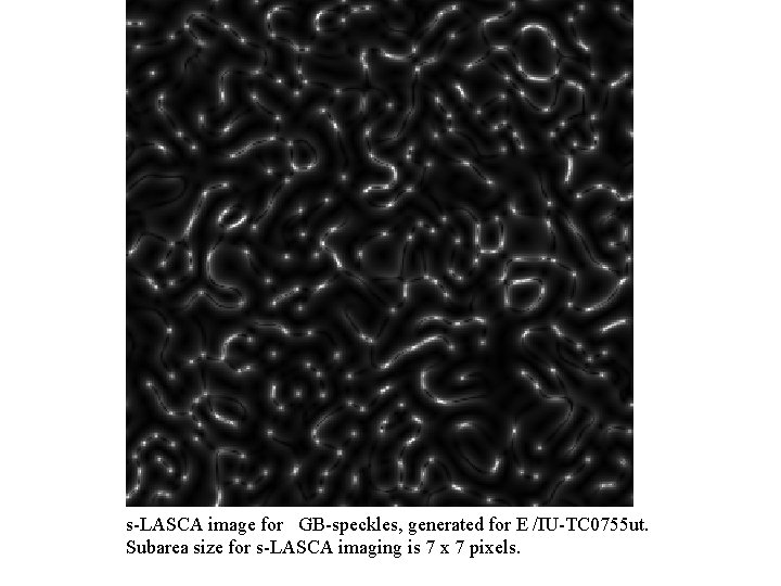 s-LASCA image for GB-speckles, generated for E /IU-TC 0755 ut. Subarea size for s-LASCA