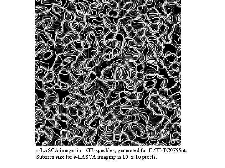 s-LASCA image for GB-speckles, generated for E /IU-TC 0755 ut. Subarea size for s-LASCA