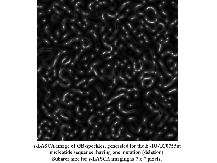 s-LASCA image of GB-speckles, generated for the E /IU-TC 0755 ut nucleotide sequence, having