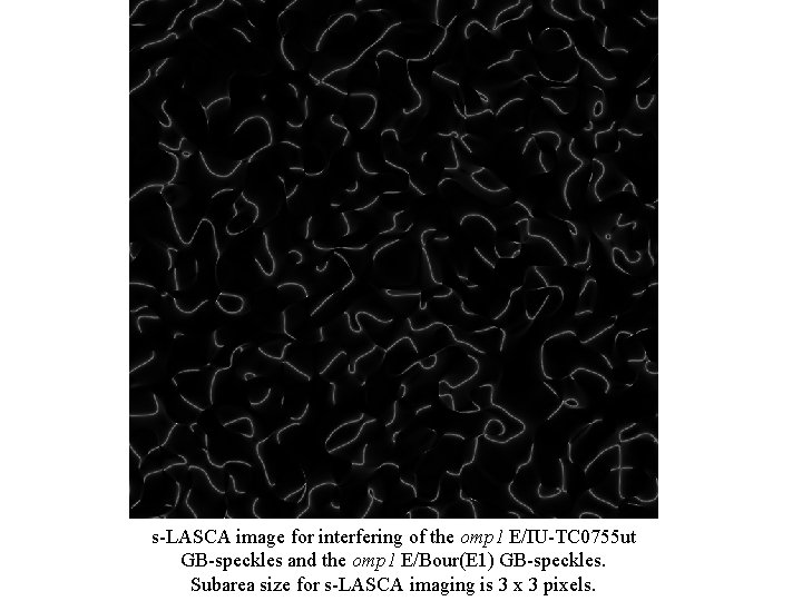 s-LASCA image for interfering of the omp 1 E/IU-TC 0755 ut GB-speckles and the