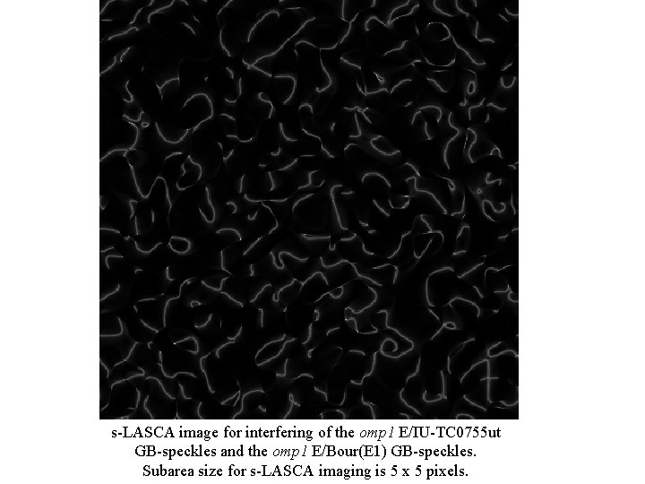 s-LASCA image for interfering of the omp 1 E/IU-TC 0755 ut GB-speckles and the