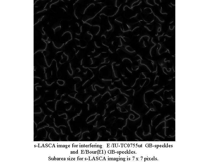 s-LASCA image for interfering E /IU-TC 0755 ut GB-speckles and E/Bour(E 1) GB-speckles. Subarea