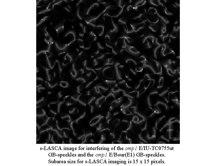 s-LASCA image for interfering of the omp 1 E/IU-TC 0755 ut GB-speckles and the