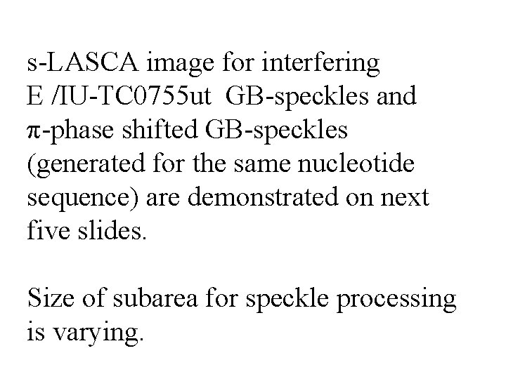 s-LASCA image for interfering E /IU-TC 0755 ut GB-speckles and π-phase shifted GB-speckles (generated