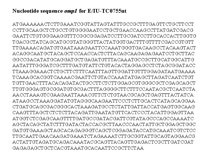 Nucleotide sequence omp 1 for E/IU-TC 0755 ut ATGAAAAAACTCTTGAAATCGGTATTAGTATTTGCCGCTTTGAGTTCTGCTTCCT CCTTGCAAGCTCTGCCTGTGGGGAATCCTGCTGAACCAAGCCTTATGATCGACG GAATTCTGTGGGAAGGTTTCGGCGGAGATCCTTGCACCACTTGGTG TGACGCTATCAGCATGCGTATGGGTTACTATGGTGACTTTGTTTTCGACCGTGTT TTGAAAACAGATGTGAATAAAGAATTCCAAATGGGTGACAAGCCTACAAGTACT ACAGGCAATGCTACAGCTCCAACCACTCTTACAGCAAGAGAGAATCCTGCTTAC