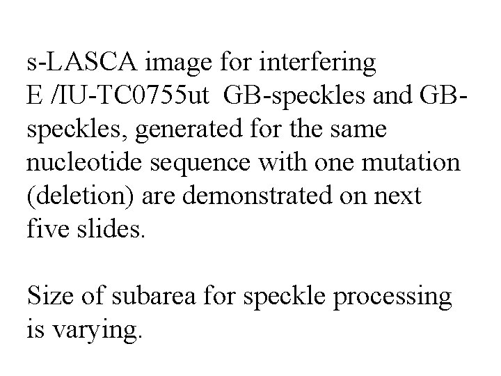 s-LASCA image for interfering E /IU-TC 0755 ut GB-speckles and GBspeckles, generated for the