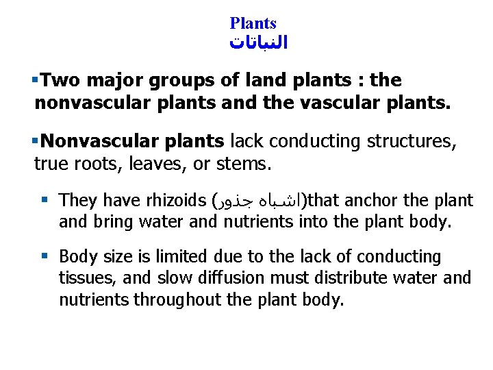 Plants ﺍﻟﻨﺒﺎﺗﺎﺕ §Two major groups of land plants : the nonvascular plants and the