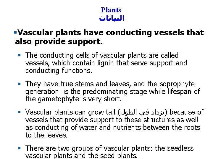 Plants ﺍﻟﻨﺒﺎﺗﺎﺕ §Vascular plants have conducting vessels that also provide support. § The conducting
