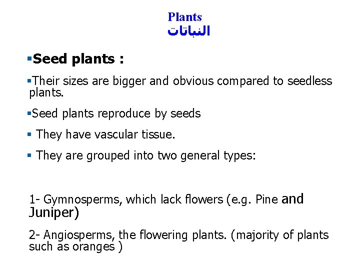 Plants ﺍﻟﻨﺒﺎﺗﺎﺕ §Seed plants : §Their sizes are bigger and obvious compared to seedless