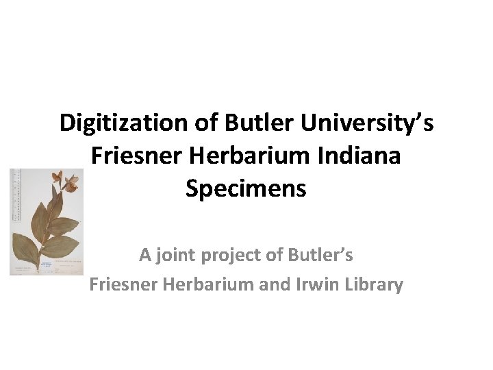 Digitization of Butler University’s Friesner Herbarium Indiana Specimens A joint project of Butler’s Friesner