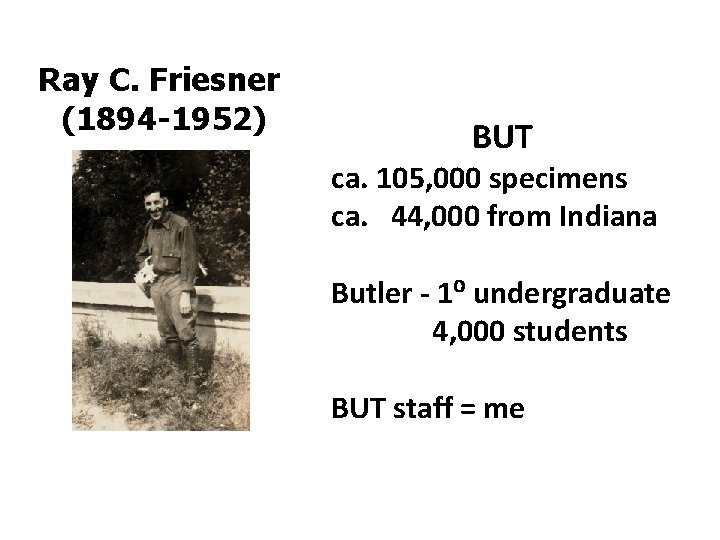 Ray C. Friesner (1894 -1952) BUT ca. 105, 000 specimens ca. 44, 000 from