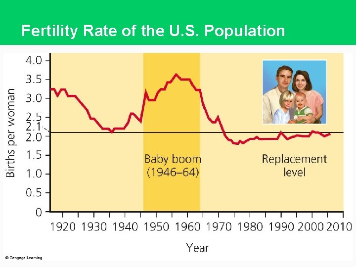 Fertility Rate of the U. S. Population 