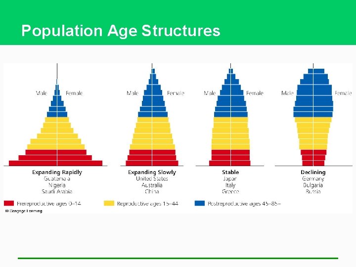 Population Age Structures 