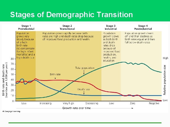 Stages of Demographic Transition 