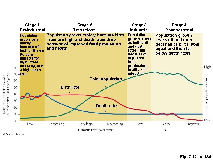 Stage 1 Preindustrial Stage 2 Transitional Population grows rapidly because birth Population grows very