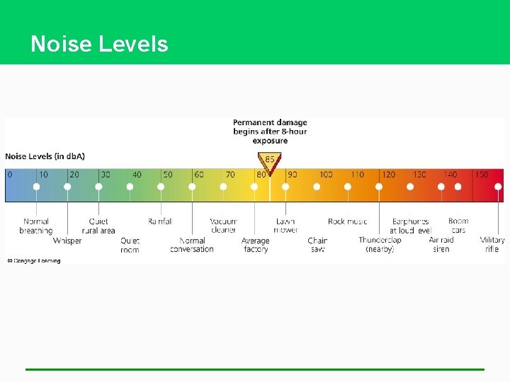 Noise Levels 