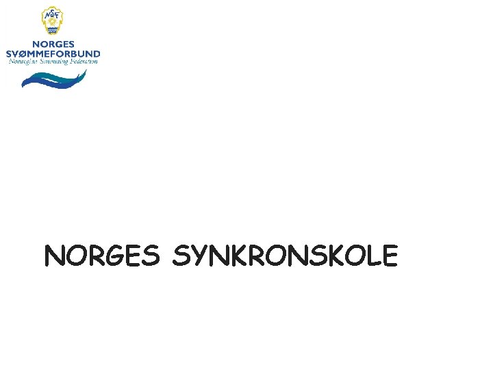 NORGES SYNKRONSKOLE 