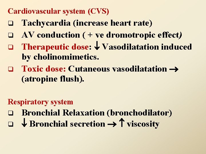 Cardiovascular system (CVS) q q Tachycardia (increase heart rate) AV conduction ( + ve