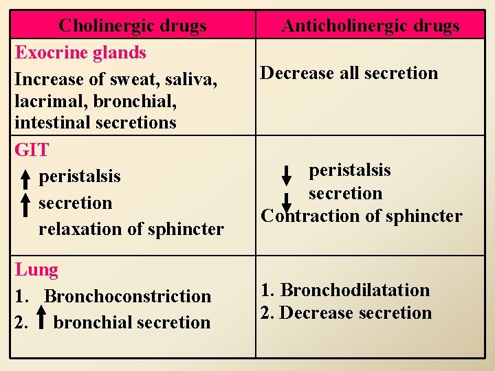 Cholinergic drugs Exocrine glands Increase of sweat, saliva, lacrimal, bronchial, intestinal secretions GIT peristalsis