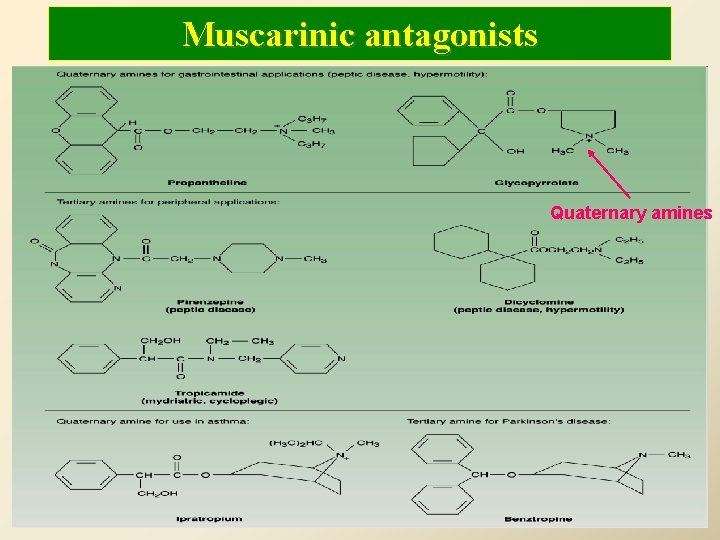 Muscarinic antagonists Quaternary amines 
