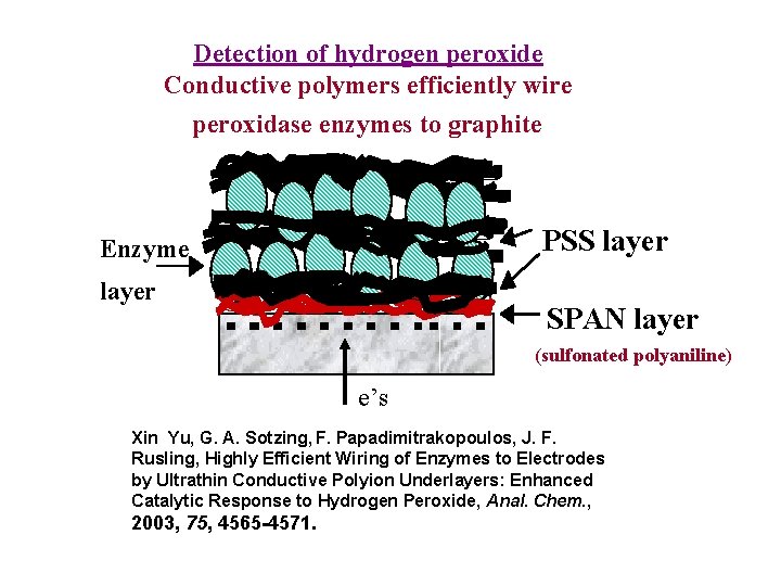 Detection of hydrogen peroxide Conductive polymers efficiently wire peroxidase enzymes to graphite PSS layer