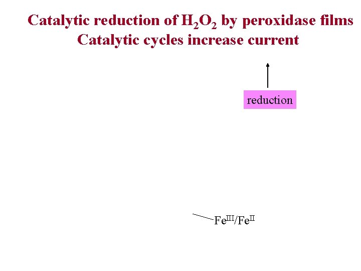 Catalytic reduction of H 2 O 2 by peroxidase films Catalytic cycles increase current