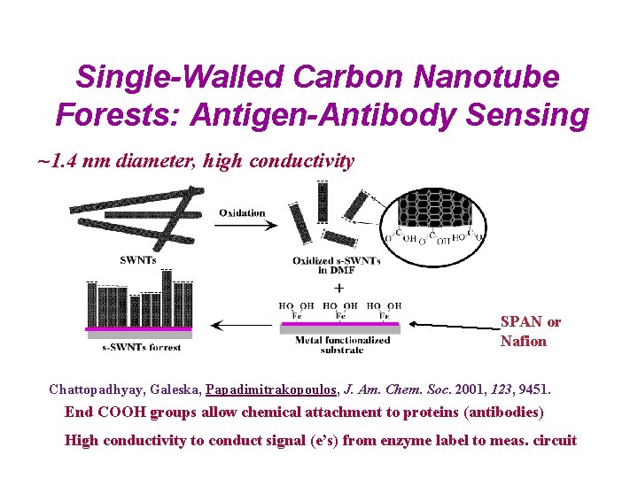 Single-Walled Carbon Nanotube Forests: Antigen-Antibody Sensing ~1. 4 nm diameter, high conductivity SPAN or