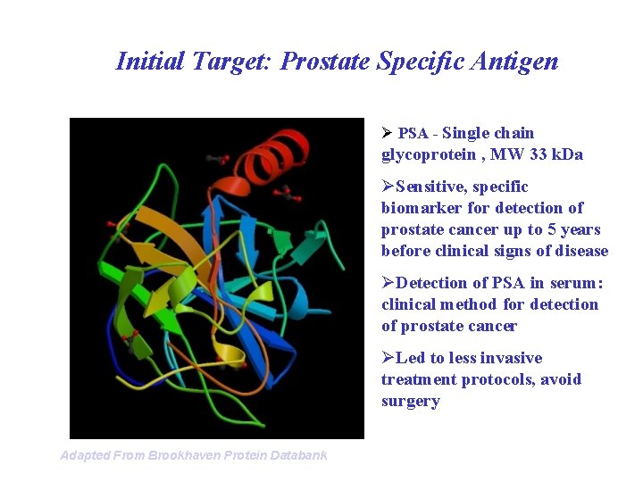 Initial Target: Prostate Specific Antigen Ø PSA - Single chain glycoprotein , MW 33